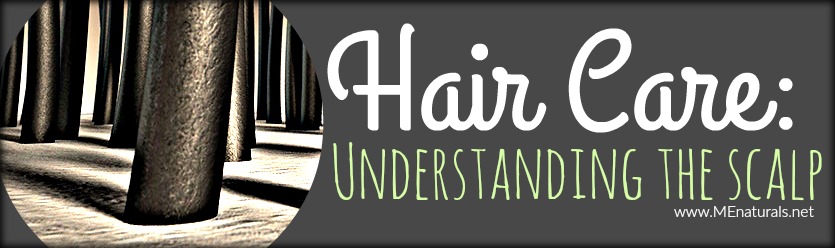 Hair Care | Understanding the Scalp