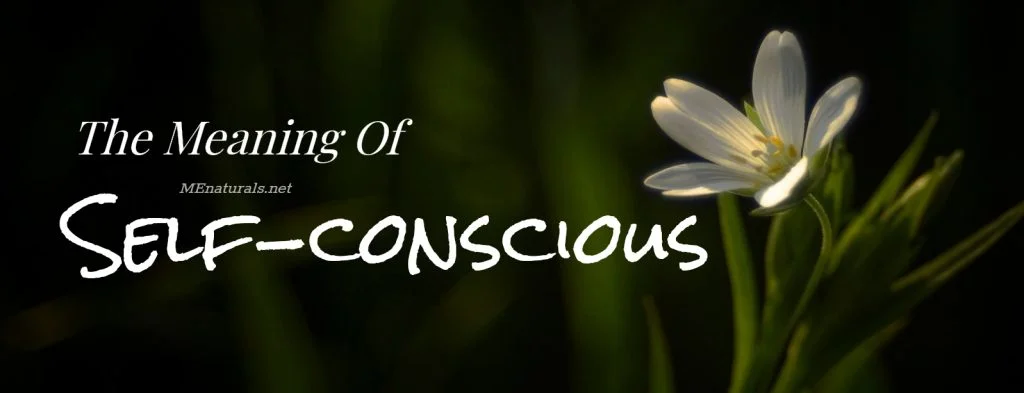 Meaning of | Self-Conscious